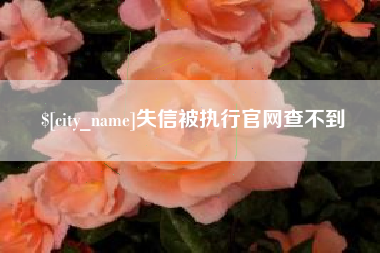 武穴失信被执行官网查不到