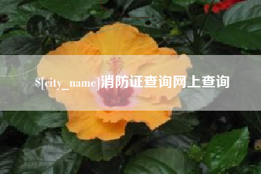 武穴消防证查询网上查询
