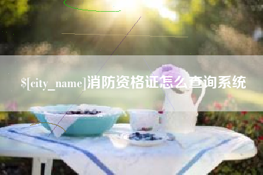 武穴消防资格证怎么查询系统