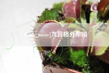武穴九宫格分布图