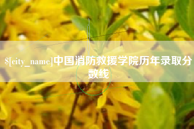 武穴中国消防救援学院历年录取分数线