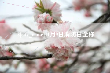 武穴11月9日消防日全称