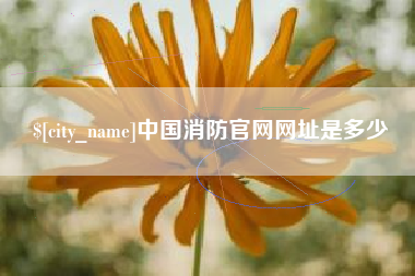 武穴中国消防官网网址是多少