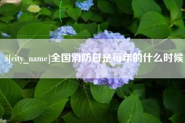 武穴全国消防日是每年的什么时候