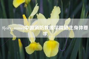 武穴中国消防救援学院招生身体要求