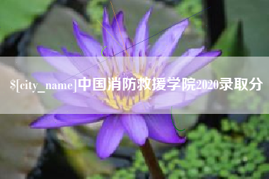 武穴中国消防救援学院2020录取分