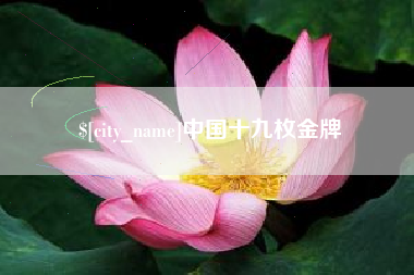 武穴中国十九枚金牌