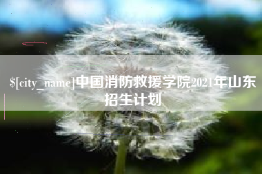 武穴中国消防救援学院2021年山东招生计划