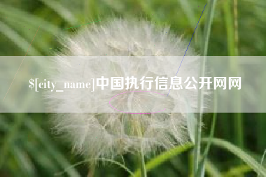 武穴中国执行信息公开网网