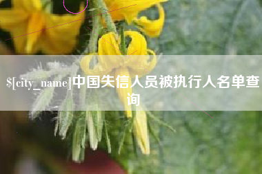 武穴中国失信人员被执行人名单查询