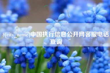 武穴中国执行信息公开网客服电话查询
