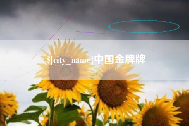 武穴中国金牌牌