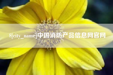 武穴中国消防产品信息网官网