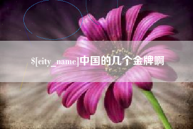 武穴中国的几个金牌啊