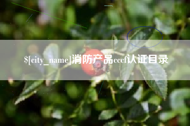 武穴消防产品cccf认证目录