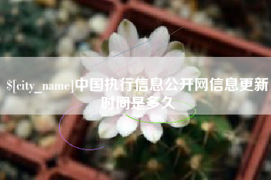 武穴中国执行信息公开网信息更新时间是多久