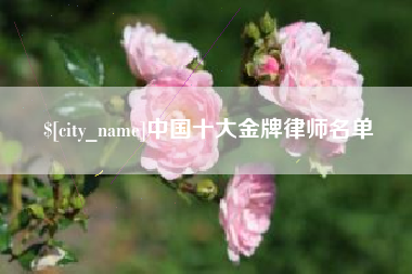 武穴中国十大金牌律师名单