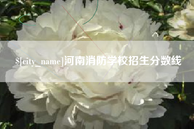 武穴河南消防学校招生分数线