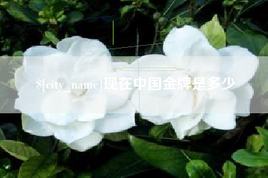 武穴现在中国金牌是多少