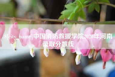 武穴中国消防救援学院2020年河南录取分数线