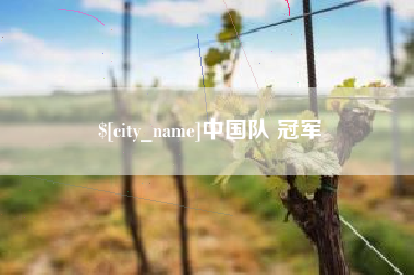 武穴中国队 冠军