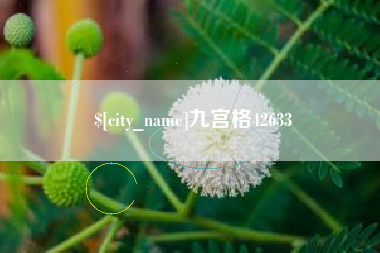 武穴九宫格42633