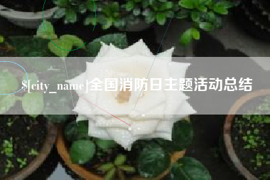武穴全国消防日主题活动总结