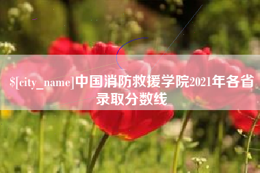 武穴中国消防救援学院2021年各省录取分数线