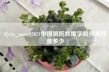 武穴2021中国消防救援学院分数线是多少