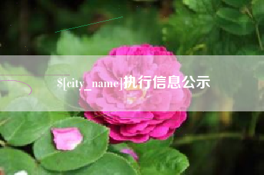 武穴执行信息公示