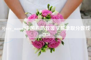 武穴中国消防救援学院录取分数线2020