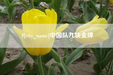 武穴中国队九块金牌