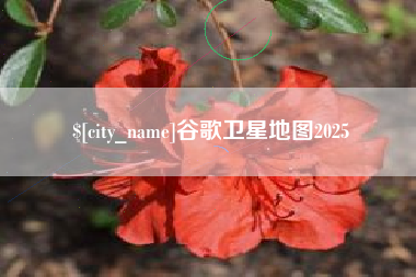武穴谷歌卫星地图2025