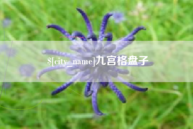 武穴九宫格盘子