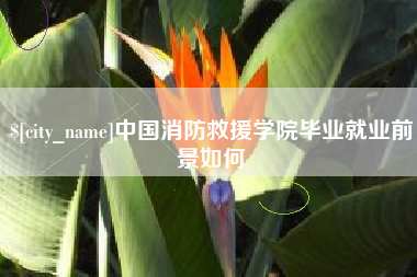 武穴中国消防救援学院毕业就业前景如何
