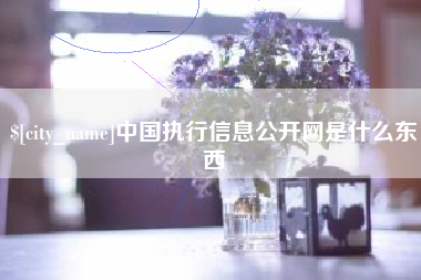 武穴中国执行信息公开网是什么东西