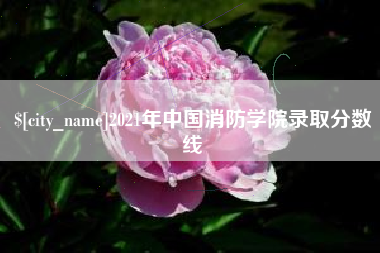 武穴2021年中国消防学院录取分数线