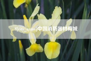 武穴中国消防器材商城