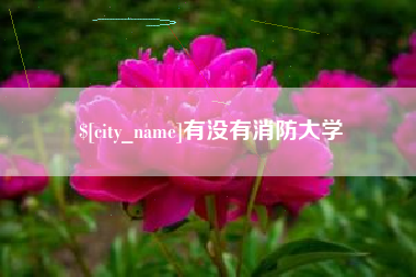 武穴有没有消防大学