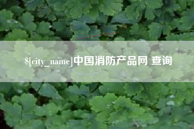 武穴中国消防产品网 查询