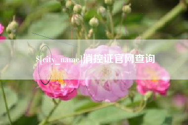 武穴消控证官网查询