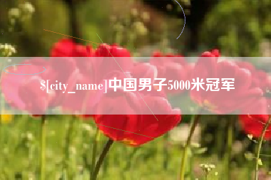 武穴中国男子5000米冠军