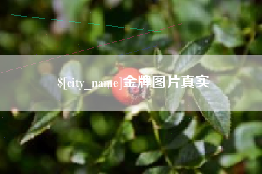 武穴金牌图片真实