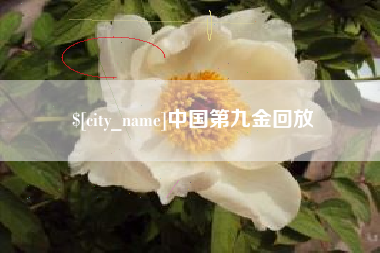 武穴中国第九金回放