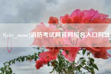 武穴消防考试网官网报名入口网址