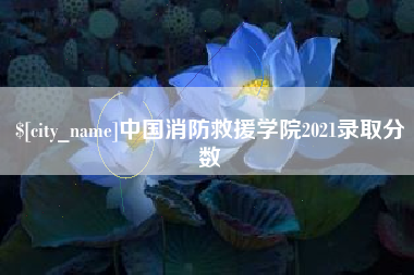 武穴中国消防救援学院2021录取分数