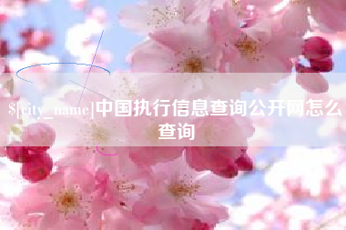 武穴中国执行信息查询公开网怎么查询