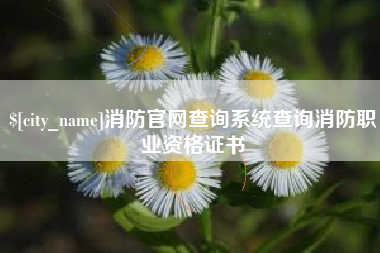 武穴消防官网查询系统查询消防职业资格证书