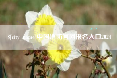 武穴中国消防官网报名入口2024