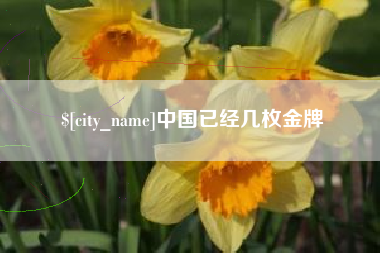 武穴中国已经几枚金牌